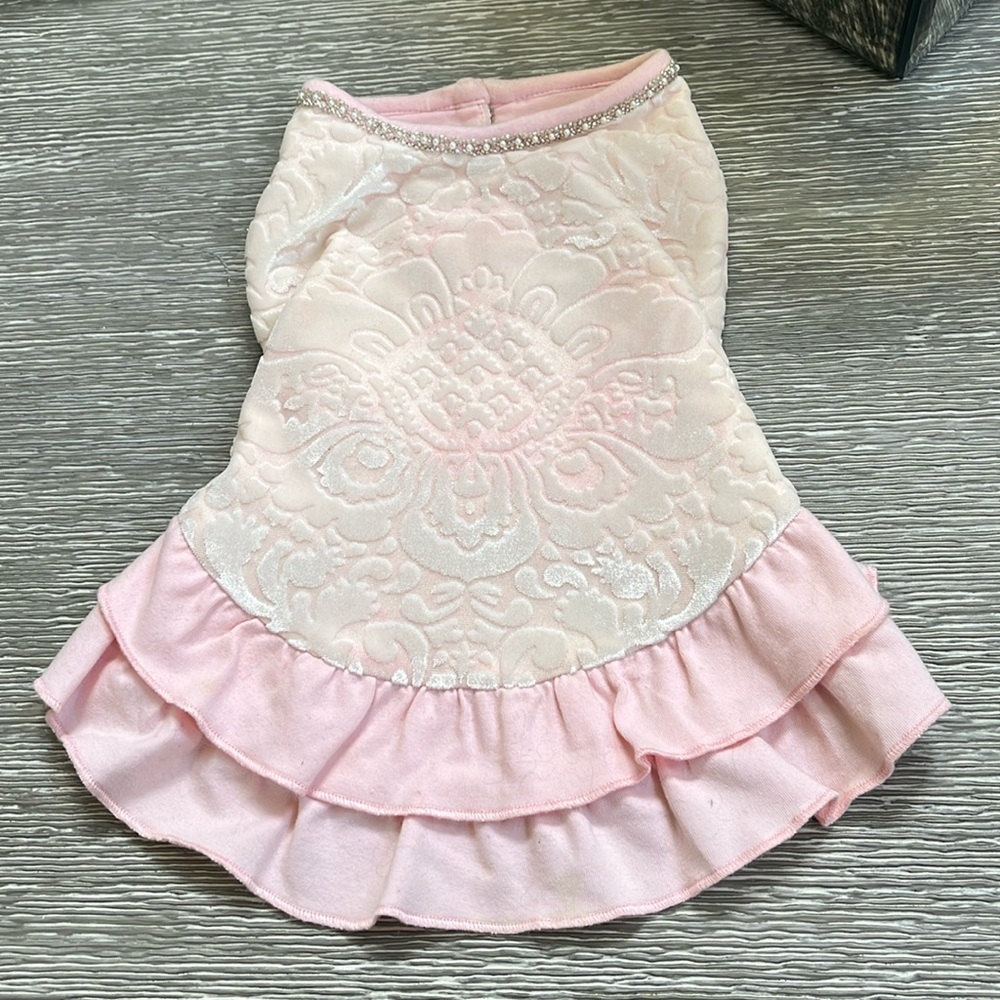 Oscar Newman Dog Dress
